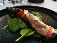 Carne_Lantena_Pulica