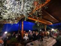 Lantena_Pulica_Cena_Colline